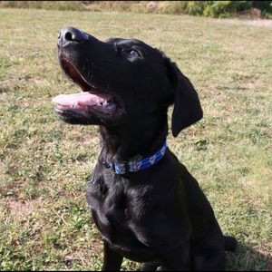 Meet your Posher, Joel